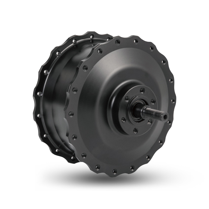 S-Type Pro F1500 フロントハブモーター