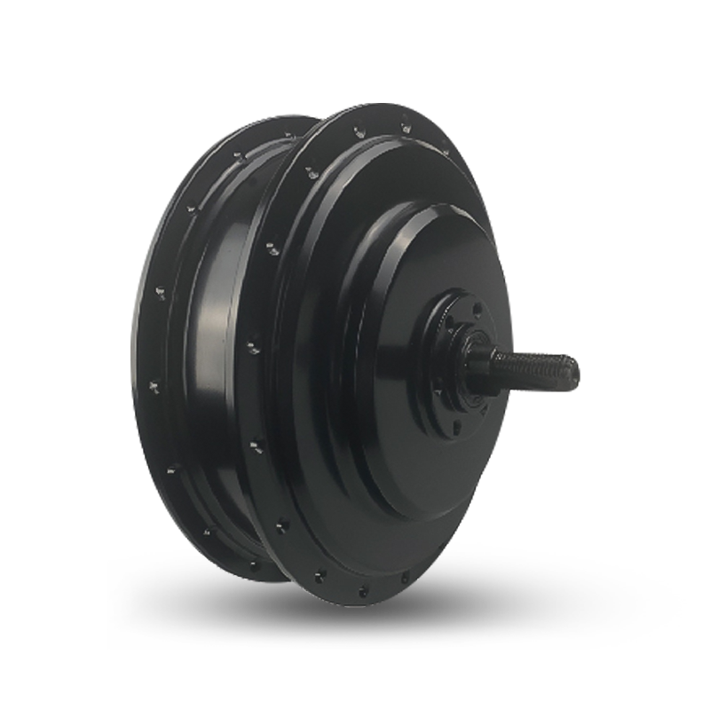 E-Type Pro RC750 リアハブモーター